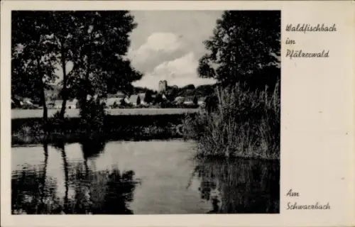 Ak Waldfischbach Burgalben im Pfälzerwald, Maria Rosenberg,  Pfälzerwald, Schwarzbach, Landschaft