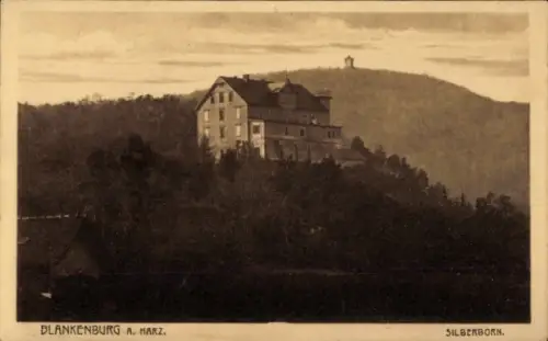 Ak Blankenburg am Harz,  Silberborn, Landschaft, Gebäude
