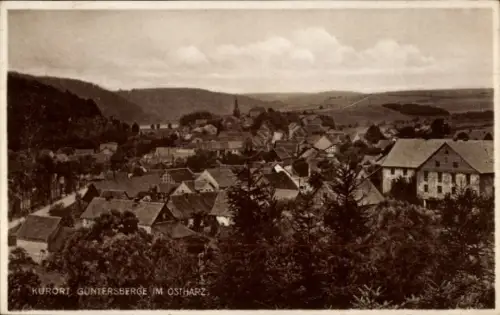 Ak Güntersberge Harzgerode am Harz, Kurort Güntersberge im Ostharz, Landschaftsaufnahme, Häuser, 