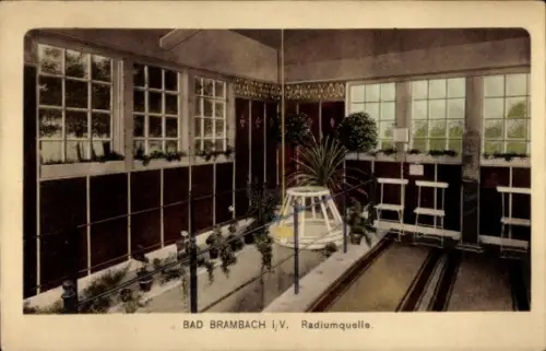 Ak Bad Brambach im Vogtland,  Radiumquelle, Innenansicht, Pflanzen, Stühle