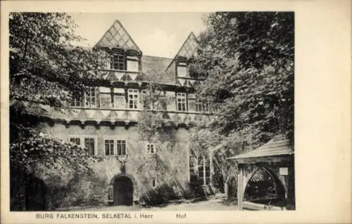 Ak Falkenstein im Harz, Selketal, Burg Falkenstein, Selketal i. Harz, Hof