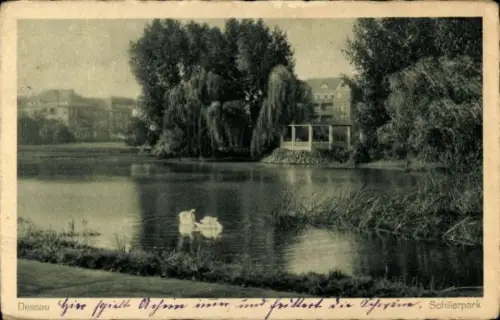 Ak Dessau in Sachsen Anhalt, Schwäne im Wasser, Schillerpark,  Bäume, Pavillon