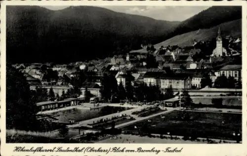 Ak Lautenthal Langelsheim im Oberharz, Hohenluftkurort  Blick vom Bromberg-Freibad