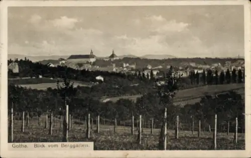 Ak Gotha in Thüringen,  Blick vom Berggarten, Landschaft mit Weinreben, Stadtansicht