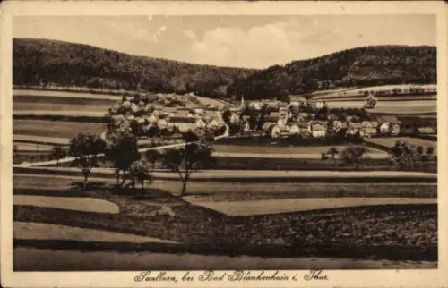 Ak Saalborn Blankenhain in Thüringen,  ländliche Landschaft, Felder, Bäume, Dorfansicht