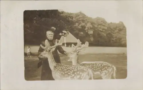 Foto Ak Tierpark, Hirsche