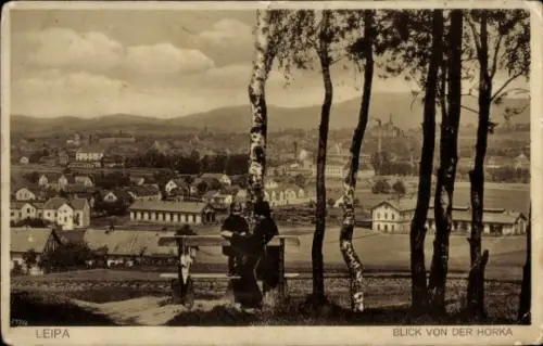 Ak Lípa Leipa Region Königgrätz, Gesamtansicht, Blick von der Horka
