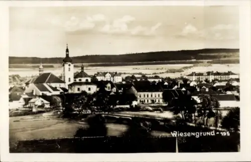 Ak Dobřany Dobrzan Wiesengrund Region Pilsen, Gesamtansicht