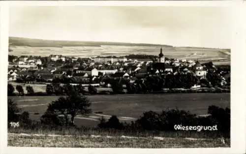 Foto Ak Dobřany Dobrzan Wiesengrund Region Pilsen, Totalansicht der Ortschaft, Kirchturm