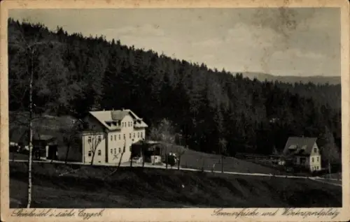 Ak Steinheidel Breitenbrunn im Erzgebirge, Sommerfrische und Wintersportplatz