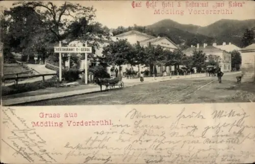 Ak Vorderbrühl Mödling in Niederösterreich, Restaurant C. Dessl, Tael Gehl Hotel, Pferd und Wagen