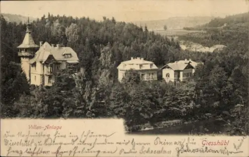 Ak Gießhübl Niederösterreich, Villenanlage, Wald