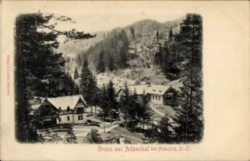 Ak Hainfeld in Niederösterreich, Schwarzwaldlandschaft, Häuser, Bäume, Gruss aus Adamthal bei Hai