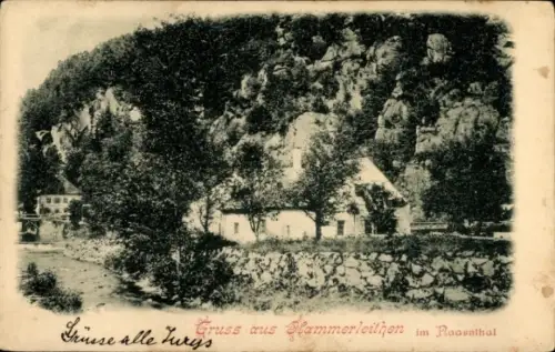 Ak Steiermark, Gruss aus Hammerleithen im Naarntal