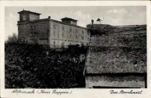 Ak Altfriesack Fehrbellin in Brandenburg, Storchnest