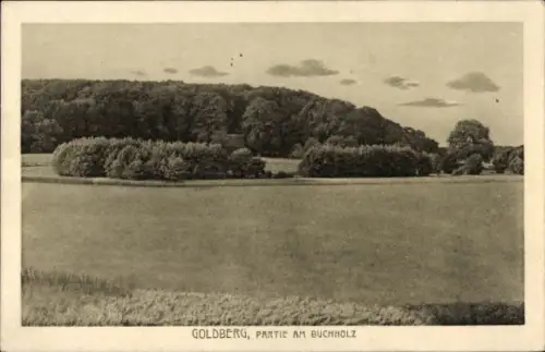 Ak Goldberg in Mecklenburg, am Buchholz
