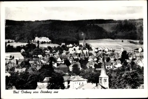 Ak Bad Driburg in Westfalen, Totalansicht der Stadt vom Steinberg aus