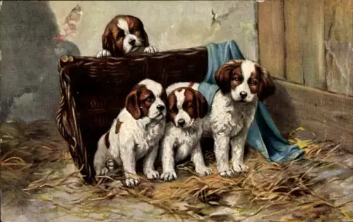 Künstler Ak Vier Hunde, Tierportrait