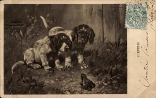 Künstler Ak Zwei Hundewelpen, Frosch