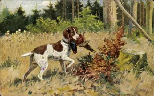 Künstler Ak Vogeljagd, Jagdhund mit Beute