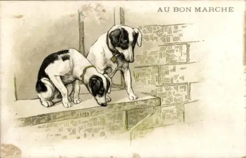 Ak Au Bon Marché, Deux Chiens sur le Bord d´une Fenêtre