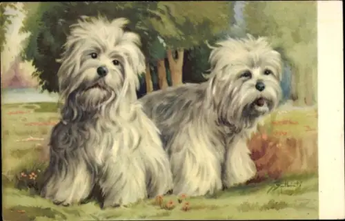 Künstler Ak Hunde, Tierportrait