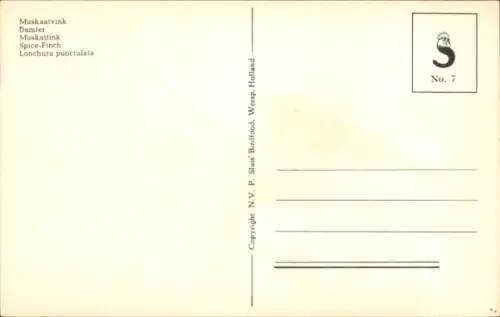 Ak Vogel, Muskatfink