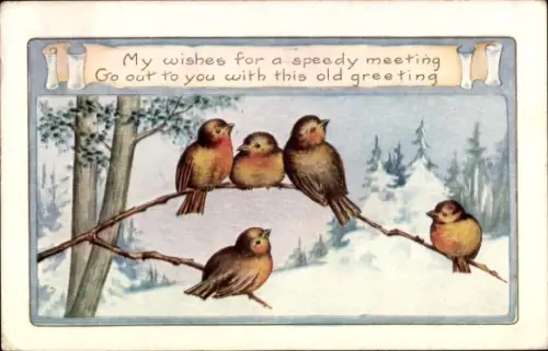 Künstler Ak Winterlandschaft, Vögel