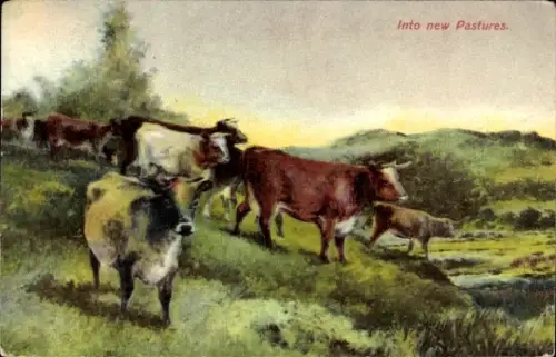 Künstler Ak Landschaft, Kühe