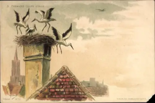 Künstler Ak Strasbourg Straßburg Elsass Bas Rhin, Störche, Premiers Coups d'Aile