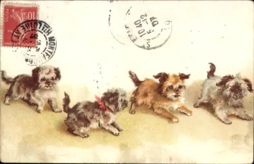 Künstler Ak Hunde, Tierportrait