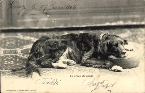 Ak Wachhund, Tierportrait