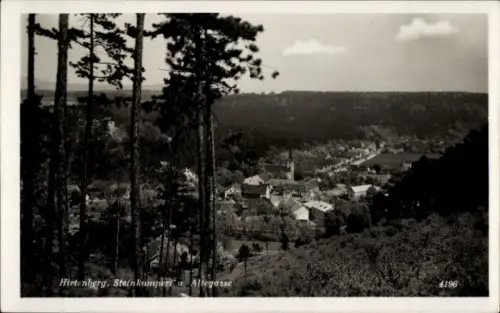 Ak Hirtenberg an der Triesting Niederösterreich, Blick auf  Steinkampera Altegasse, Bäume im Vord