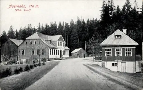 Ak Stützerbach Ilmenau Thüringer Wald, Gasthof Auerhahn