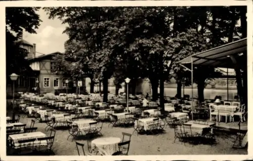 Ak Dresden Blasewitz, Schillergarten, Terrasse