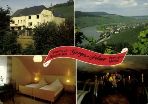 Ak Wintrich an der Mosel, Weingut Gorges-Pelzer, Panorama, Weinkeller