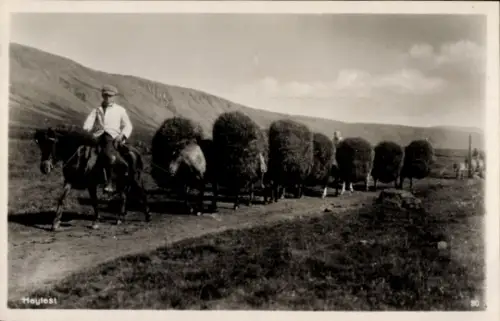 Ak Island, Transport, Fuhrwerke, Verlag S. Egmundsson