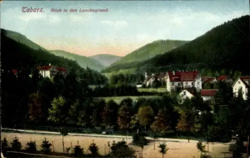 Ak Tabarz im Thüringer Wald,  Blick in den Lauchgrund, Berge, Häuser, Bäume