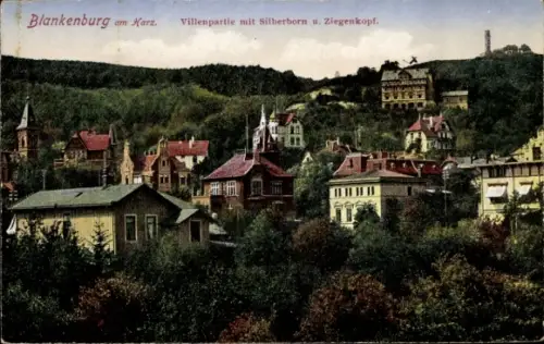 Ak Blankenburg am Harz,  Villenpartie, Silberborn, Ziegenkopf