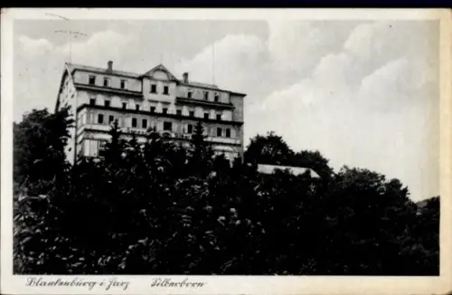 Ak Blankenburg am Harz, Blankenburgi Jarz Silbarbern, Gebäude, Bäume im Vordergrund