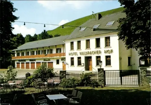 Ak Waldrach im Ruwertal, Hotel Waldracher Hof, Restaurant