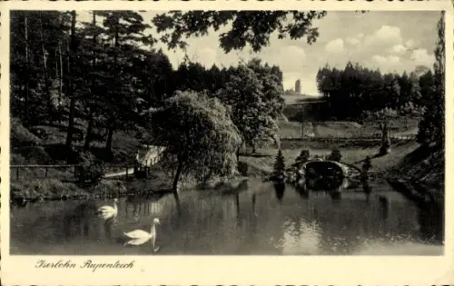 Ak Iserlohn im Märkischen Kreis, Iserlohn Rupenteich, Schwäne, Brücke, Wald, Landschaft