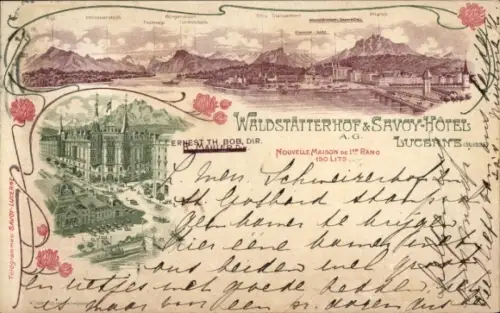 Litho Luzern Stadt Schweiz, Waldstätterhof, Savoy-Hotel