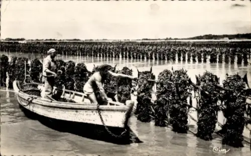 CPA Châtelaillon Charente Maritime, Bouchots à Moules