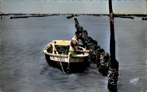 Ak Châtelaillon Charente Maritime, Mann in einem Boot erntet Austern