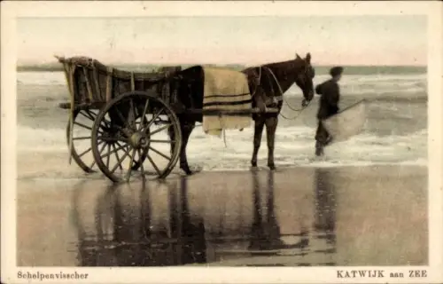 Ak Katwijk aan Zee Zuid-Holland Nederland, Schelpenvisscher