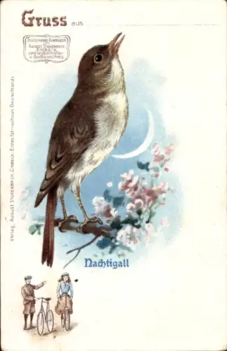 Litho Stukenbrok Fahrräder Einbeck, Reklame, Nachtigall, Luscinia megarhynchos