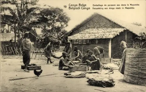 CPA Congo Belge, Emballage de poisson sec dans le Mayumbe