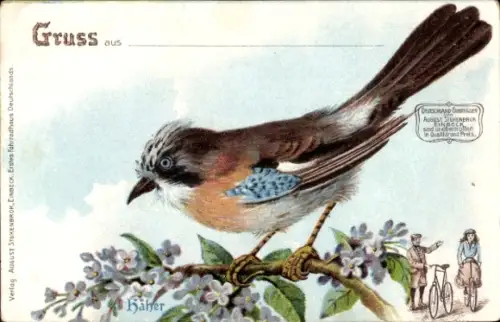 Künstler Ak Der Häher, Eichelhäher, Deutschland Fahrräder August Stukenbrok Einbeck