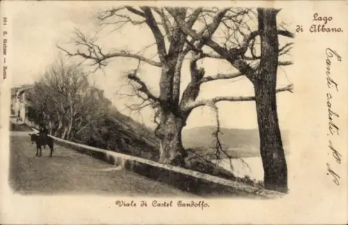 Ak Castel Gandolfo Lazio, Blick auf den Albaner See